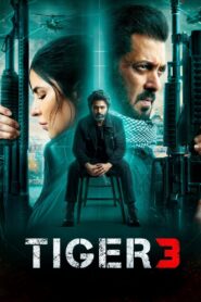 Tiger 3 (2023) Hindi HD