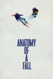 Anatomy of a Fall (2023) Hindi Dubbed