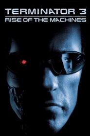Terminator 3: Rise of the Machines (2003) Hindi Dubbed