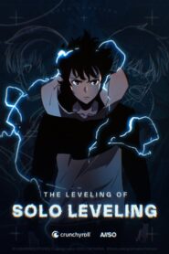 THE LEVELING OF SOLO LEVELING: Season 1